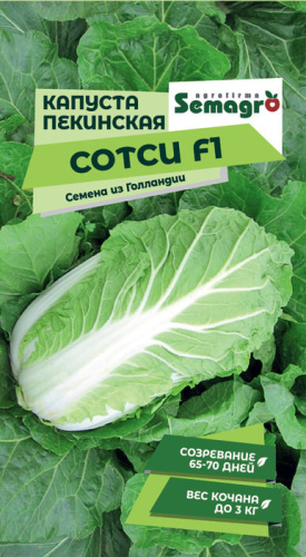 Капуста (пекинская) Сотси F1 