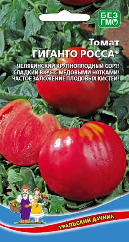 Томат Гиганто росса