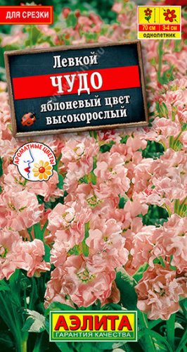 Левкой Чудо Яблоневый цвет высокорослый 