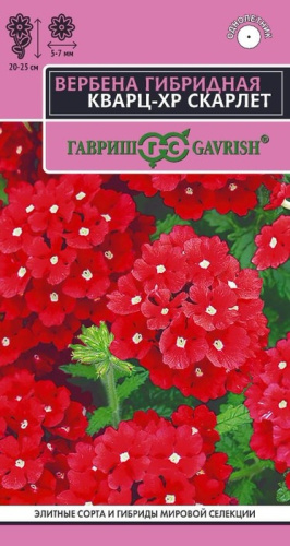 Вербена Кварц ХР Скарлет гибридная 