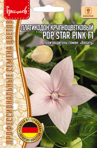 Платикодон Pop Star Pink F1 крупноцв