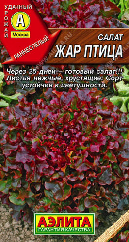 Салат Жар птица листовой 