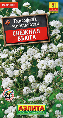 Гипсофила метельчатая Снежная вьюга махровая 