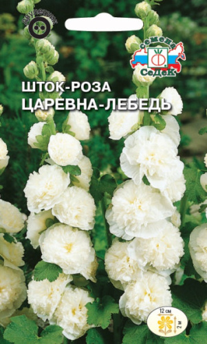 Шток-роза Царевна-лебедь 