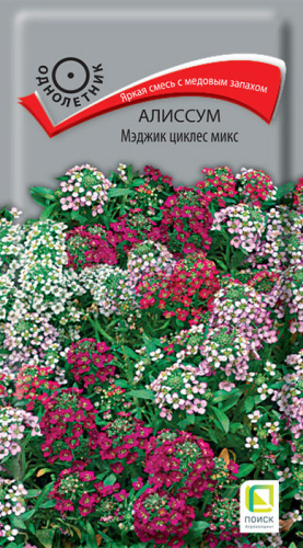 Алиссум Мэджик циклес микс