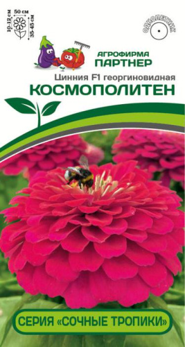 Цинния Сочные тропики Космополитен F1 ( 2-ой пак.) 