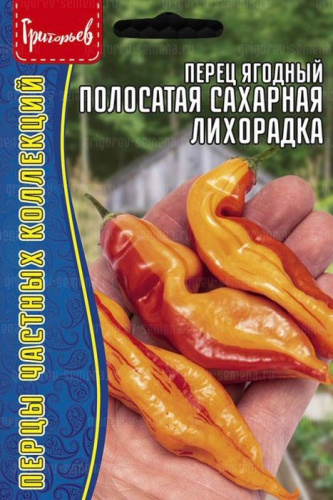 Перец ягодный Полосатая Сахарная Лихорадка