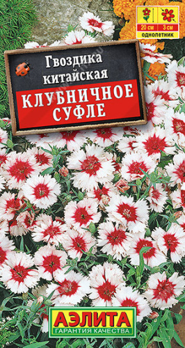 Гвоздика китайская Клубничное суфле 