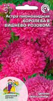 Астра Королева в Вишнево-Розовом пионовидная  купить