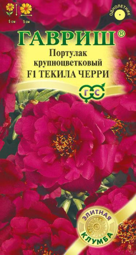 Портулак махровый Текила Черри 