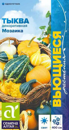 Тыква Мозаика декоративная  Вьющиеся растения