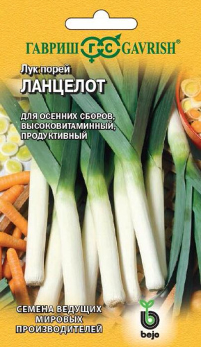 Лук (порей) Ланцелот 