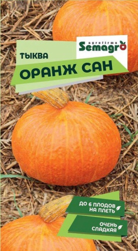 Тыква Оранж Сан 