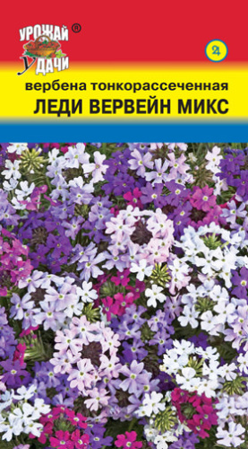 Вербена Леди Вервейн микс