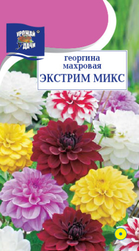 Георгина Экстрим, смесь 