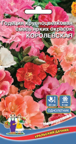 Годеция Королевская крупноцветковая, смесь 