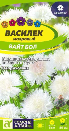 Василек Вайт Бол