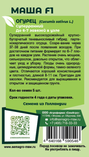 Огурец Маша F1 1 о