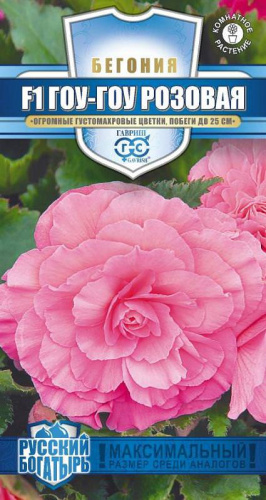 Бегония Гоу-Гоу Розовая F1 серия Русский богатырь