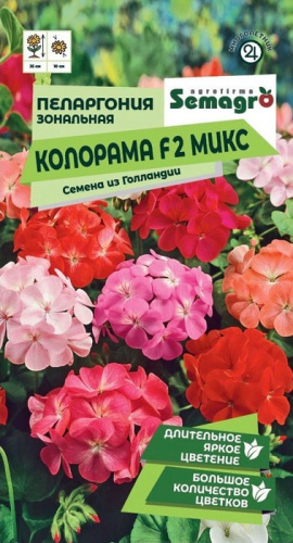 Пеларгония Зональная Колорама F2 микс