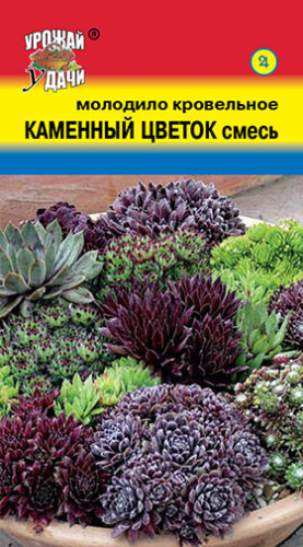 Молодило Каменный цветок смесь