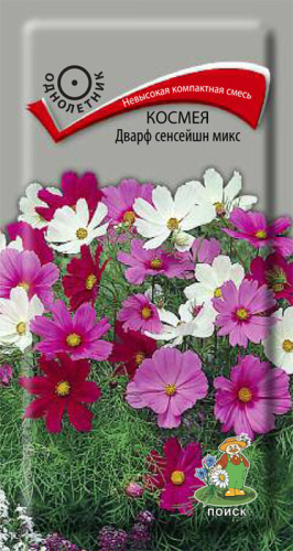 Космея Дварф сенсейшн, микс 