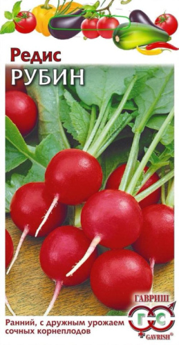 Редис Рубин 