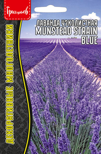 Лаванда Munstead Strain Blue узколистная 