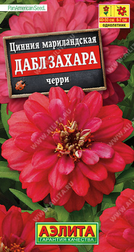 Цинния Дабл Захара черри 