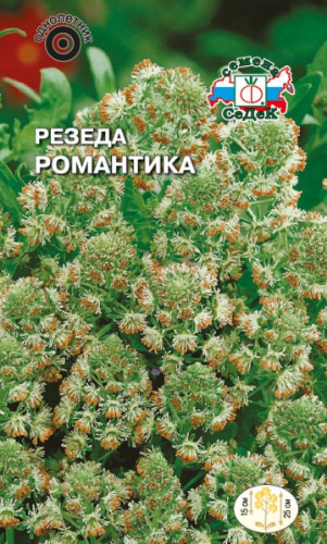 Резеда Романтика душистая