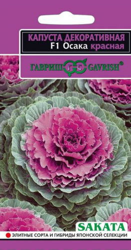 Капуста декор. Осака красная F1