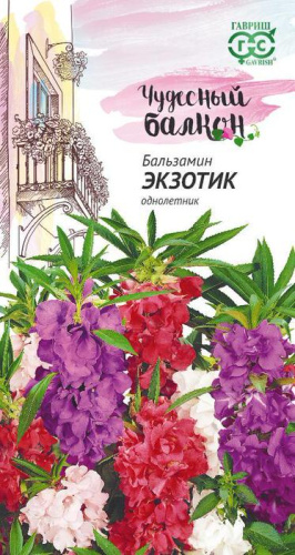 Бальзамин Экзотик карлик Чудесный балкон