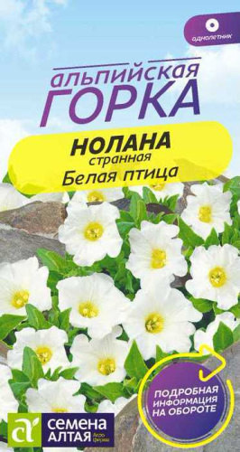 Нолана Белая птица  странная Альпийская горка