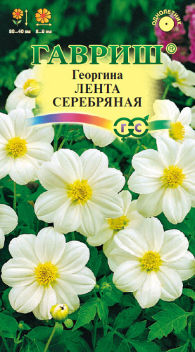 Георгина Лента серебряная 