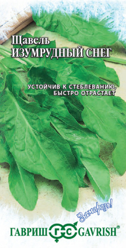 Щавель Изумрудный Снег 