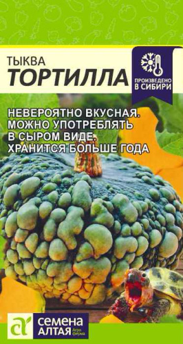 Тыква Тортилла