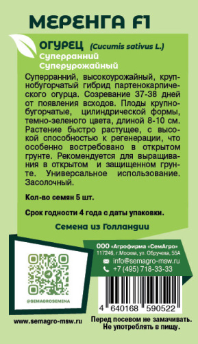 Огурец Меренга F1 о