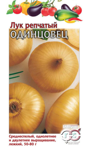 Лук (репчатый) Одинцовец 