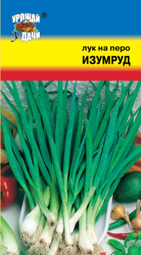 Лук (батун) Изумруд 