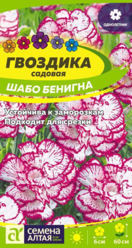 Гвоздика Шабо Бенигна cадовая