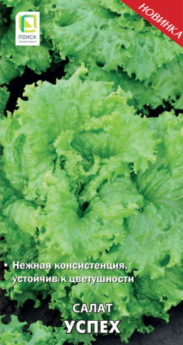 Салат Успех