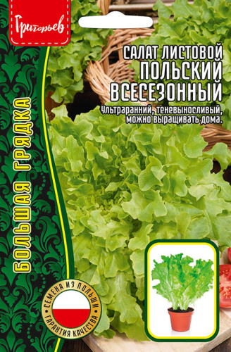 Салат Польский Всесезонный листовой