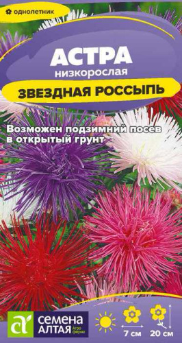 Астра Звездная Россыпь
