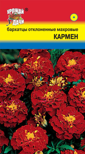 Бархатцы Кармен низкоросл