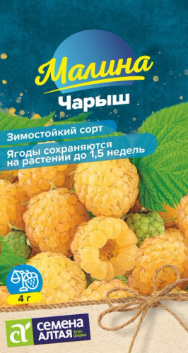 Малина Чарыш желтая