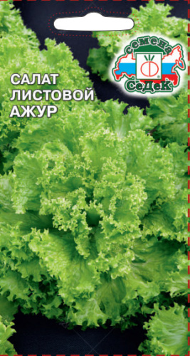 Салат Ажур (листовой) 