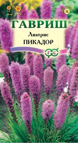 Лиатрис Пикадор