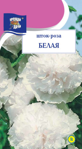 Шток Роза Белая