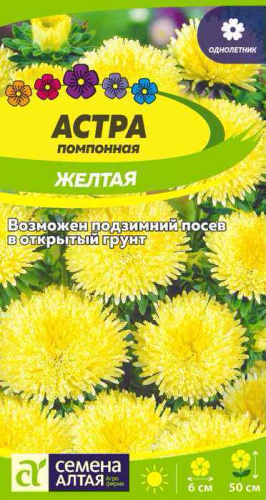 Астра Помпонная Жёлтая