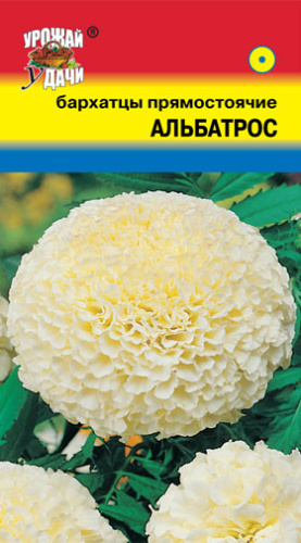 Бархатцы махровые Альбатрос